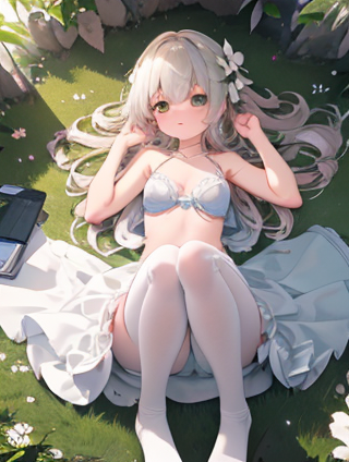 情感的绿意：植物与手工编织品的交响曲